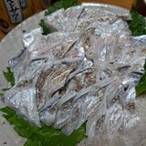 太刀魚の炙り 刺身